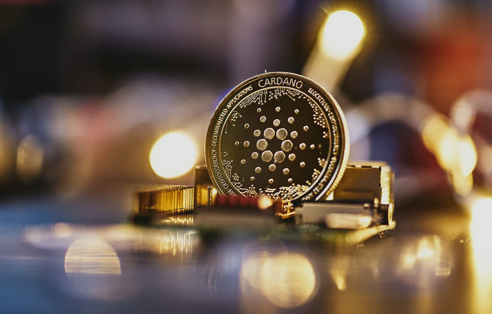 Cardano, Ripple czy DeSoc – która kryptowaluta uczyni Cię milionerem w 2025 roku?