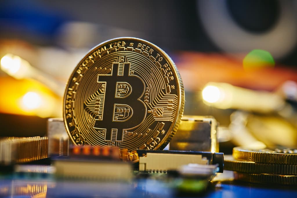 „Bitcoinowy Jezus” Roger Ver zgadza się na ugodę podatkową w wysokości 48 mln dolarów